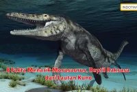 8 Fakta Menarik Mosasaurus, Reptil Raksasa dari Lautan Kuno