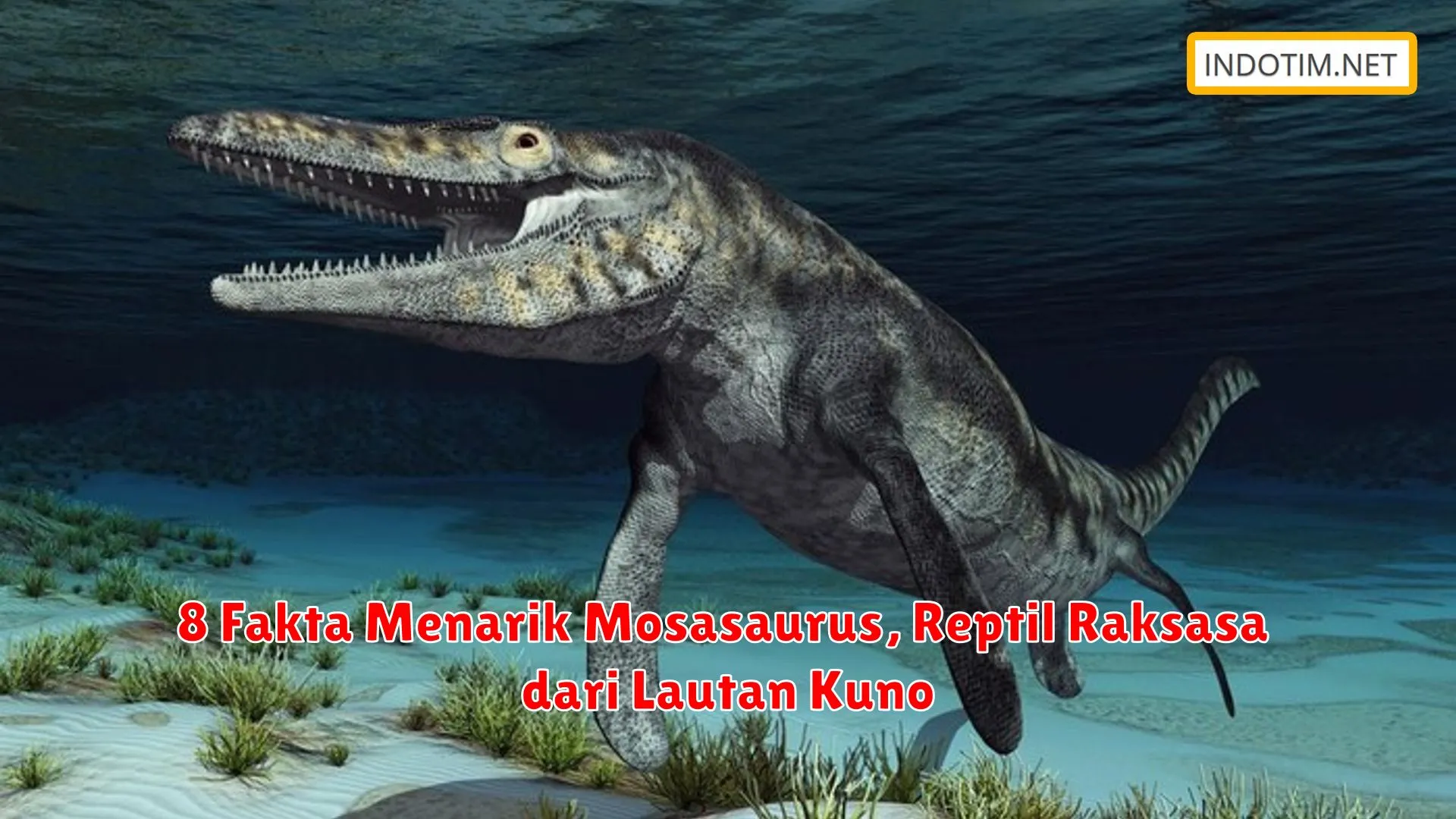 8 Fakta Menarik Mosasaurus, Reptil Raksasa dari Lautan Kuno