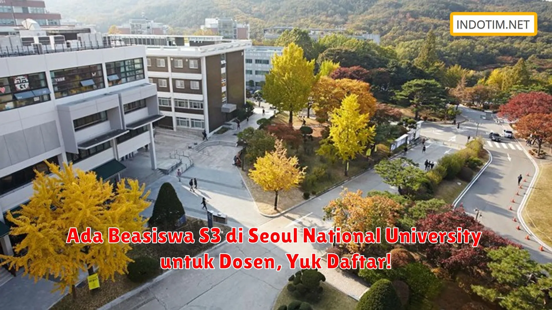Ada Beasiswa S3 di Seoul National University untuk Dosen, Yuk Daftar!
