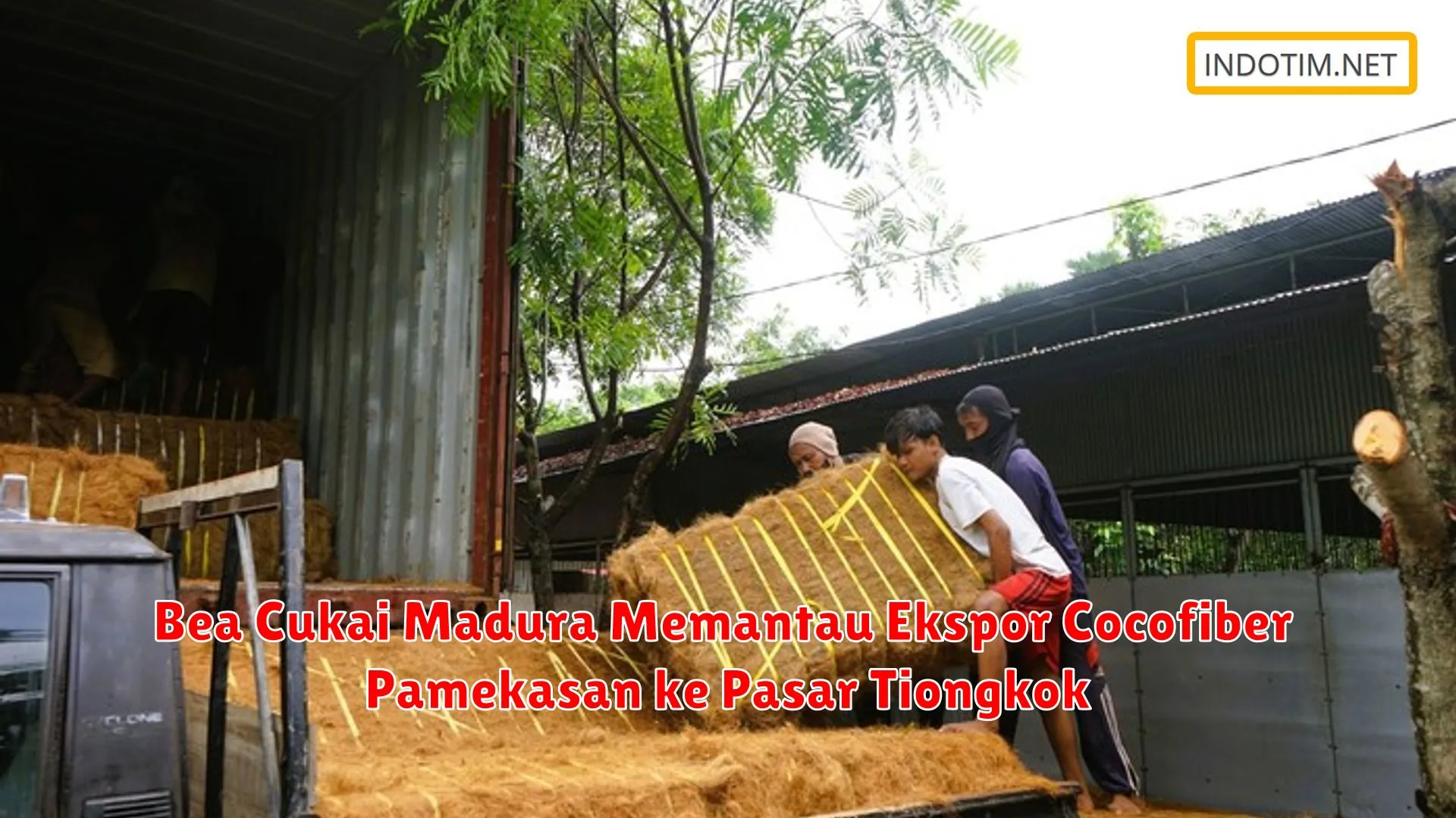 Bea Cukai Madura Memantau Ekspor Cocofiber Pamekasan ke Pasar Tiongkok