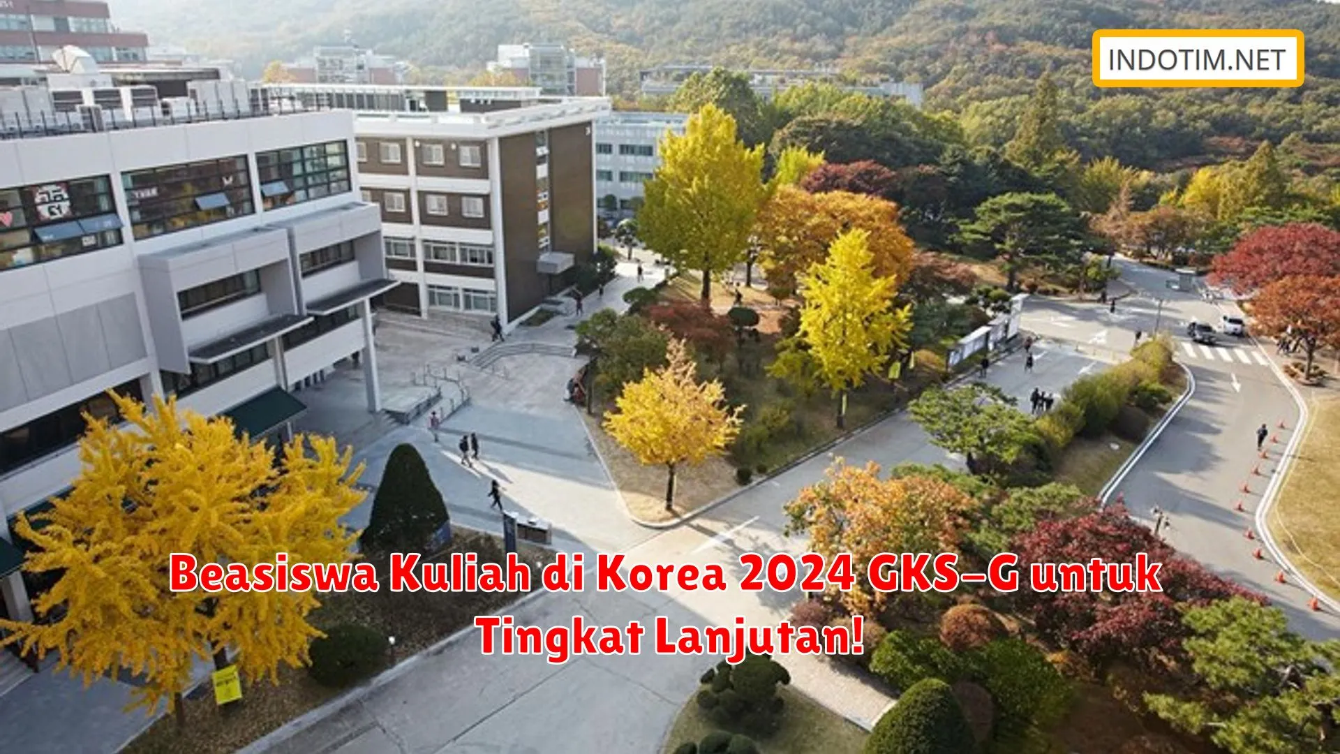 Beasiswa Kuliah di Korea 2024 GKS-G untuk Tingkat Lanjutan!