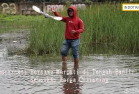 Berkreasi Bersama Merpati di Tengah Banjir: Keunikan Warga Cilincing