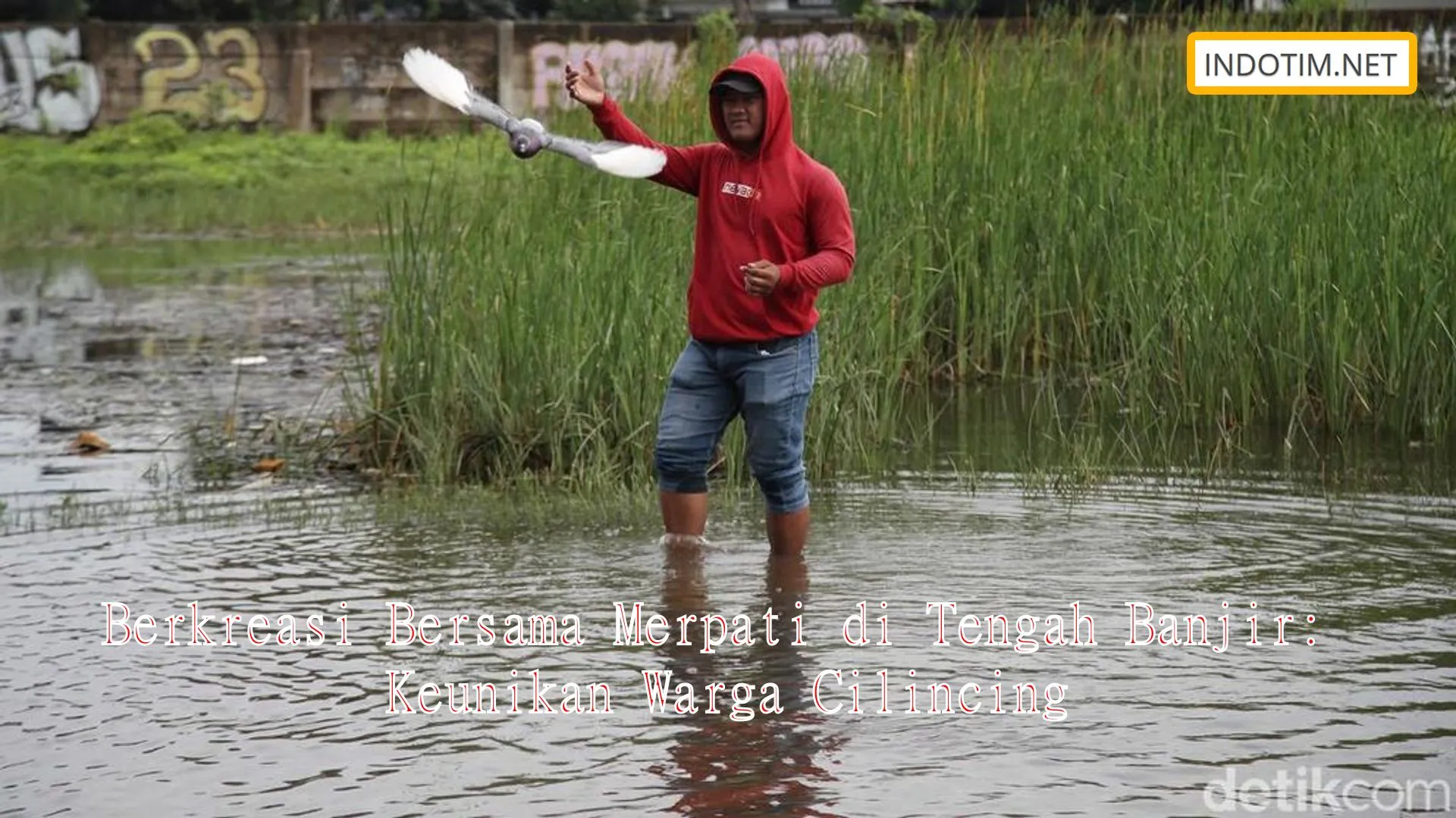 Berkreasi Bersama Merpati di Tengah Banjir: Keunikan Warga Cilincing