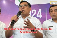 Bos Badan Pangan: Harga Beras Turun, Ini Penjelasannya!