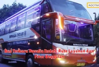 Bus Terbaru Rosalia Indah: Rute Layanan dan Fitur Unggulan