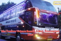 Bus Tronton Terbaru Rosalia Indah, Penampilan Ilusi