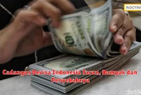 Cadangan Devisa Indonesia Turun, Dampak dan Penyebabnya