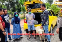 Drama Honda Brio: Nyolong Kambing