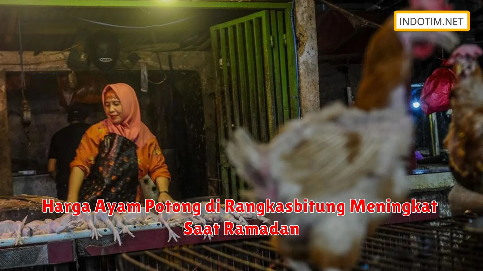 Harga Ayam Potong di Rangkasbitung Meningkat Saat Ramadan