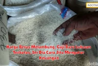 Harga Beras Melambung, Gaji Baru Lulusan Terbatas, Ini Dia Cara Jitu Mengatur Keuangan