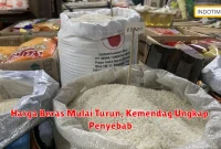 Harga Beras Mulai Turun, Kemendag Ungkap Penyebab