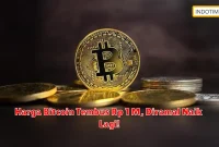 Harga Bitcoin Tembus Rp 1 M, Diramal Naik Lagi!