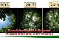 Hutan Pulau di Pasifik Pulih Setelah Diterjang Topan 2015, Begini Prosesnya