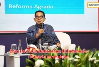 Investor Sulit Buka Lahan di Indonesia: Rahasia Terungkap!