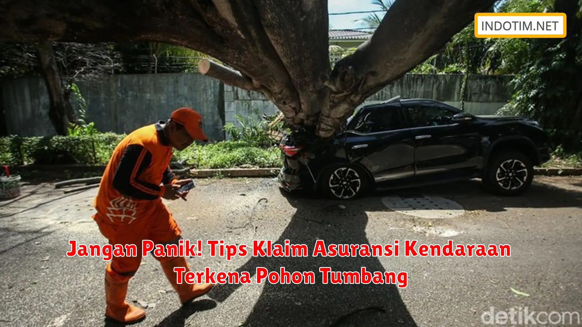 Jangan Panik! Tips Klaim Asuransi Kendaraan Terkena Pohon Tumbang