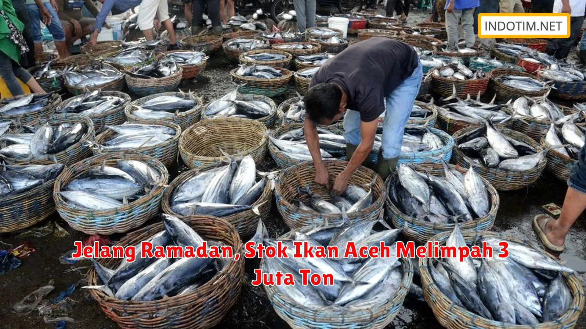 Jelang Ramadan, Stok Ikan Aceh Melimpah 3 Juta Ton