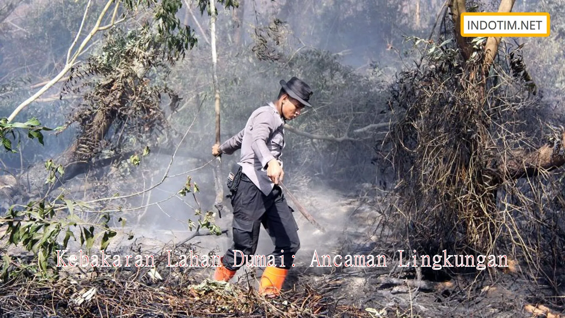 Kebakaran Lahan Dumai: Ancaman Lingkungan