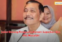 Luhut Dukung Pengusaha Konser: Laporkan Jika Ada Masalah!