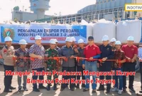 Mangole Timber Producers Mengawali Ekspor Biomassa Pelet Kayu ke Jepang