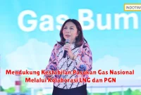 Mendukung Kestabilan Pasokan Gas Nasional Melalui Kolaborasi LNG dan PGN