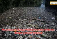 Menelusuri 6 Sungai Paling Tercemar di Dunia: Sungai Citarum Terkenal
