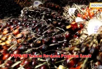 PTPN IV Tanam Perdana Program Sawit