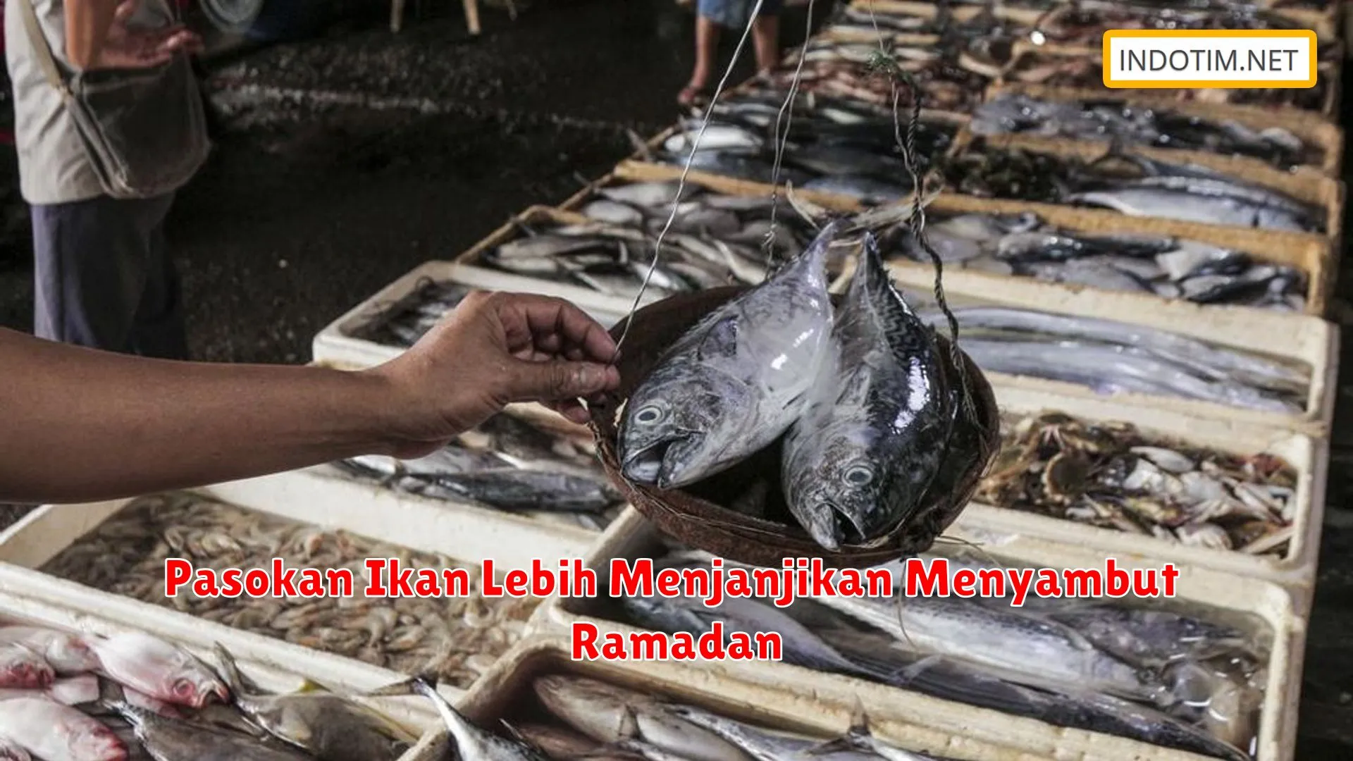 Pasokan Ikan Lebih Menjanjikan Menyambut Ramadan