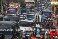 Pemandangan Padat Kendaraan di Puncak Bogor: Tips dan Trik