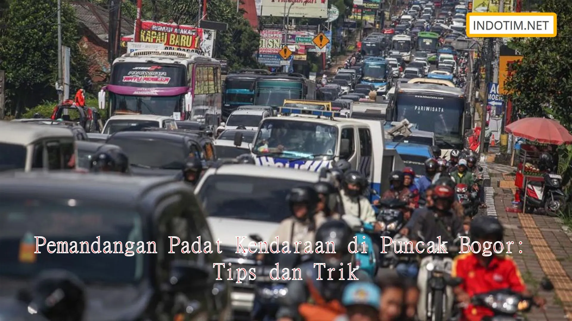 Pemandangan Padat Kendaraan di Puncak Bogor: Tips dan Trik