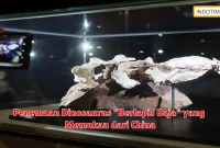 Penemuan Dinosaurus "Berlapis Baja" yang Memukau dari China