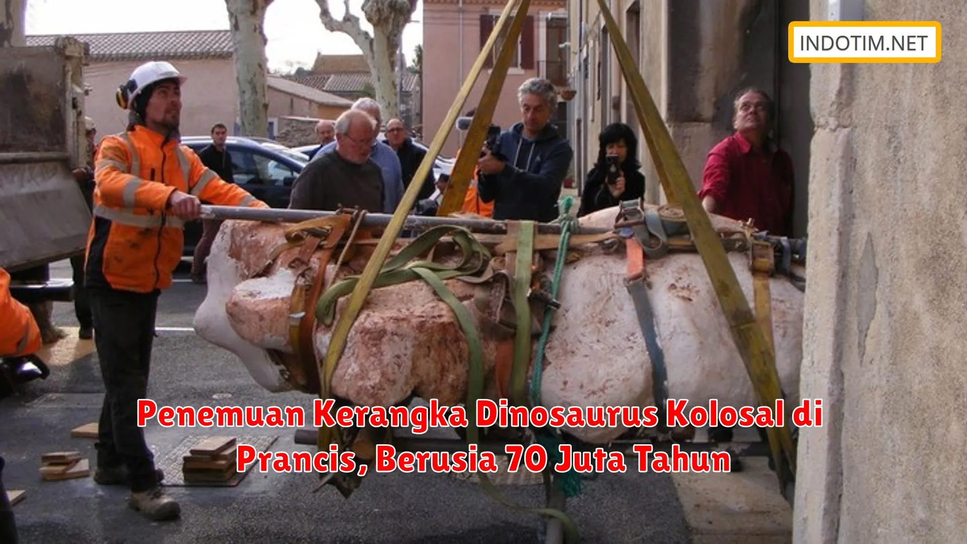 Penemuan Kerangka Dinosaurus Kolosal di Prancis, Berusia 70 Juta Tahun