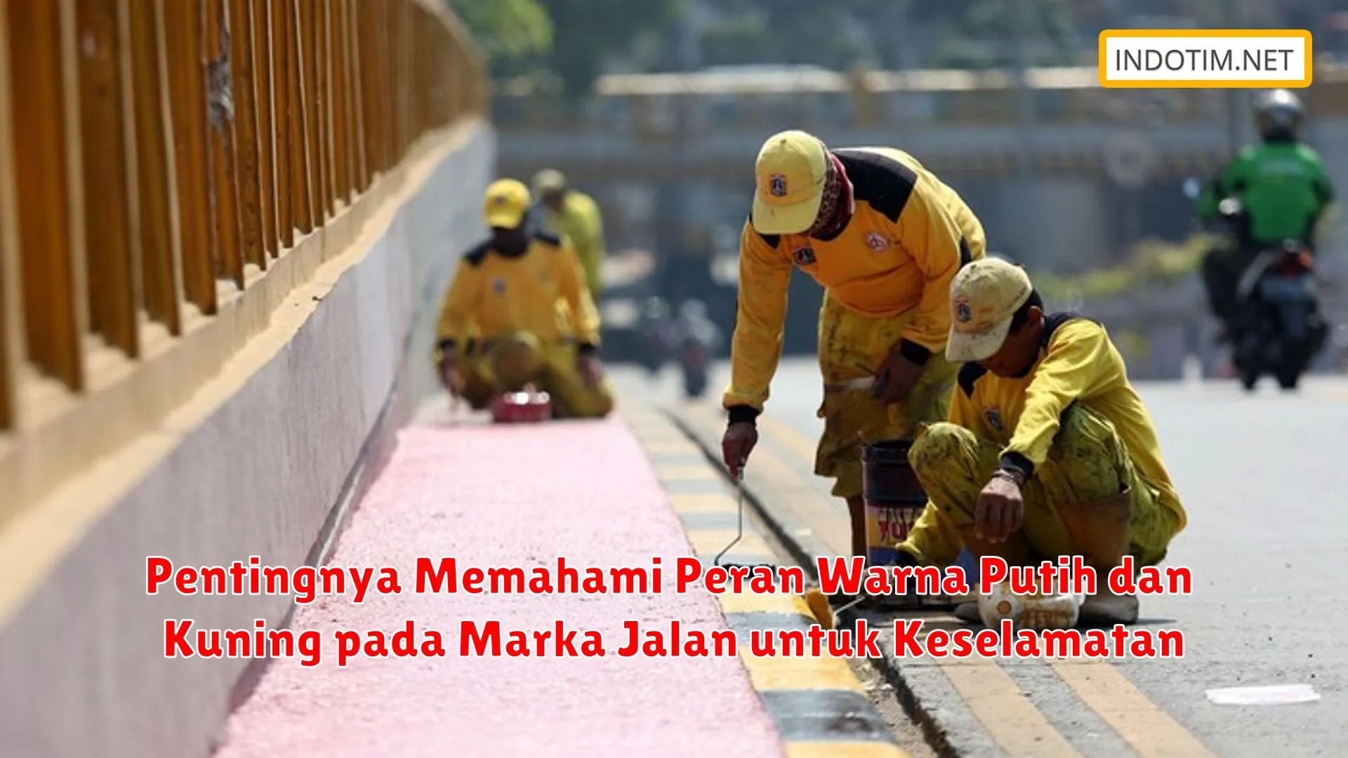 Pentingnya Memahami Peran Warna Putih dan Kuning pada Marka Jalan untuk Keselamatan