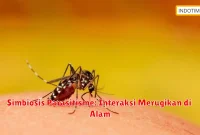 Simbiosis Parasitisme: Interaksi Merugikan di Alam