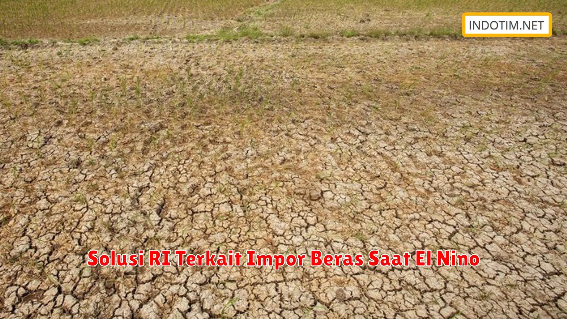 Solusi RI Terkait Impor Beras Saat El Nino