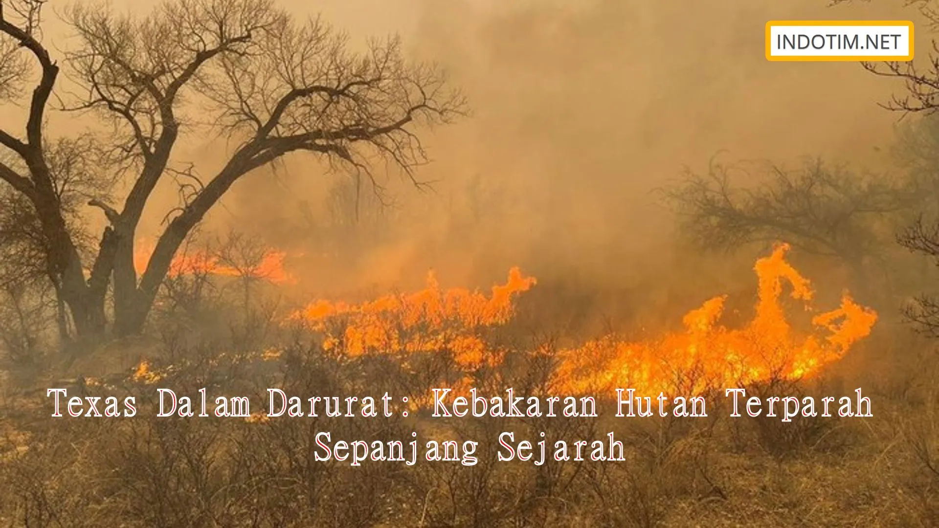 Texas Dalam Darurat: Kebakaran Hutan Terparah Sepanjang Sejarah