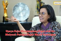 Upaya Kejar Pengemplang Pajak oleh Sri Mulyani: Petugas Pajak Masih Tantangan