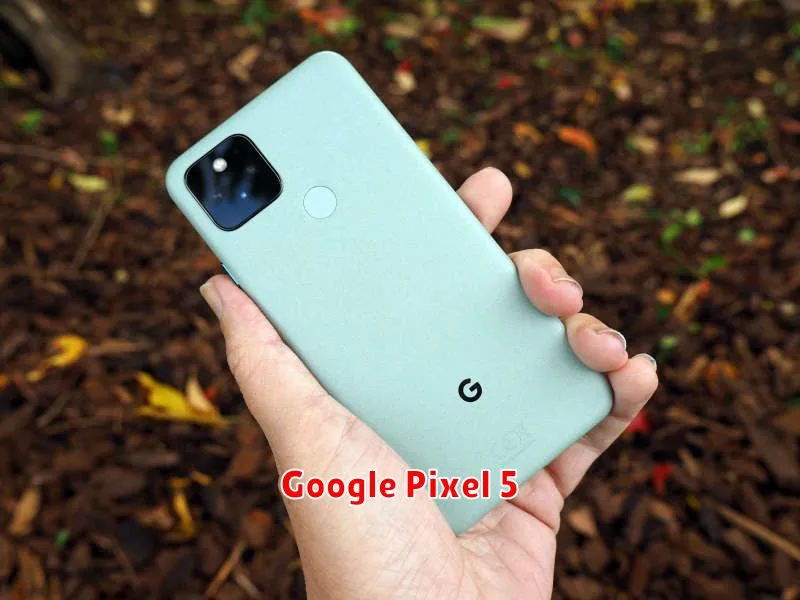 Google Pixel 5