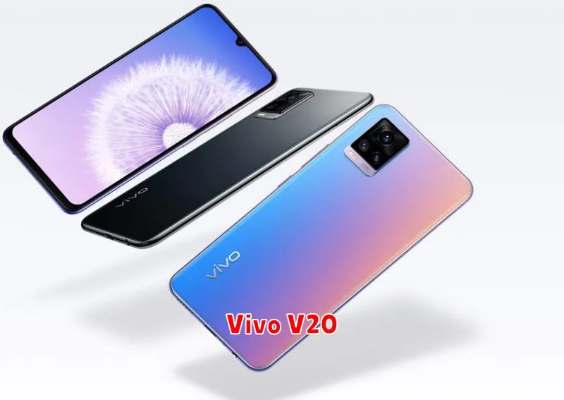 Vivo V20