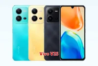 Vivo V25