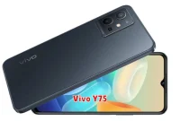 Vivo Y75