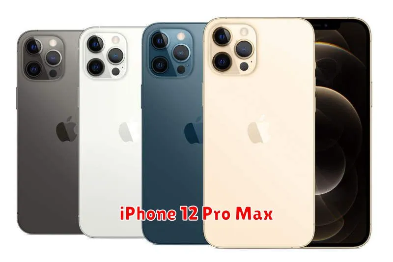 iPhone 12 Pro Max