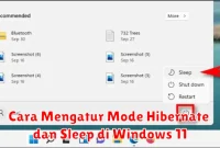 Cara Mengatur Mode Hibernate dan Sleep di Windows 11