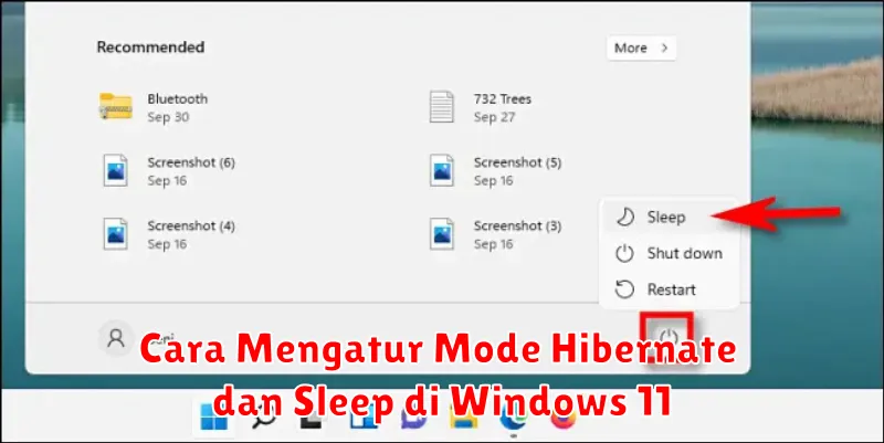 Cara Mengatur Mode Hibernate dan Sleep di Windows 11