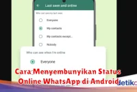 Cara Menyembunyikan Status Online WhatsApp di Android