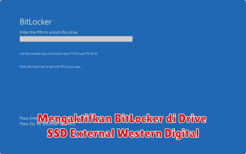 Mengaktifkan BitLocker di Drive SSD External Western Digital