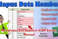 Menghapus File Duplikat di HP Secara Manual