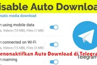Menonaktifkan Auto Download di Telegram