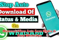 Menonaktifkan Auto Save Media di Grup WhatsApp