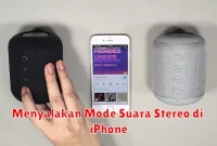 Menyalakan Mode Suara Stereo di iPhone