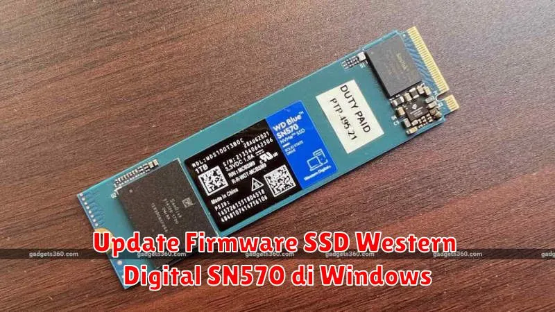 Update Firmware SSD Western Digital SN570 di Windows